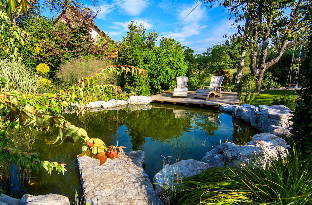 Pond in a beautiful creative lush green blooming garden